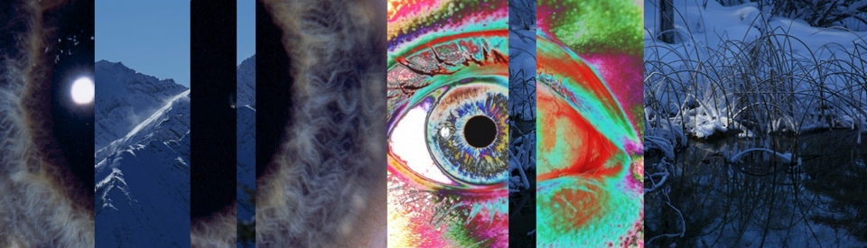 header annonces