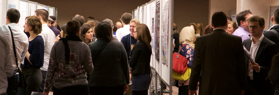 RSSV 2014 posters_header_2